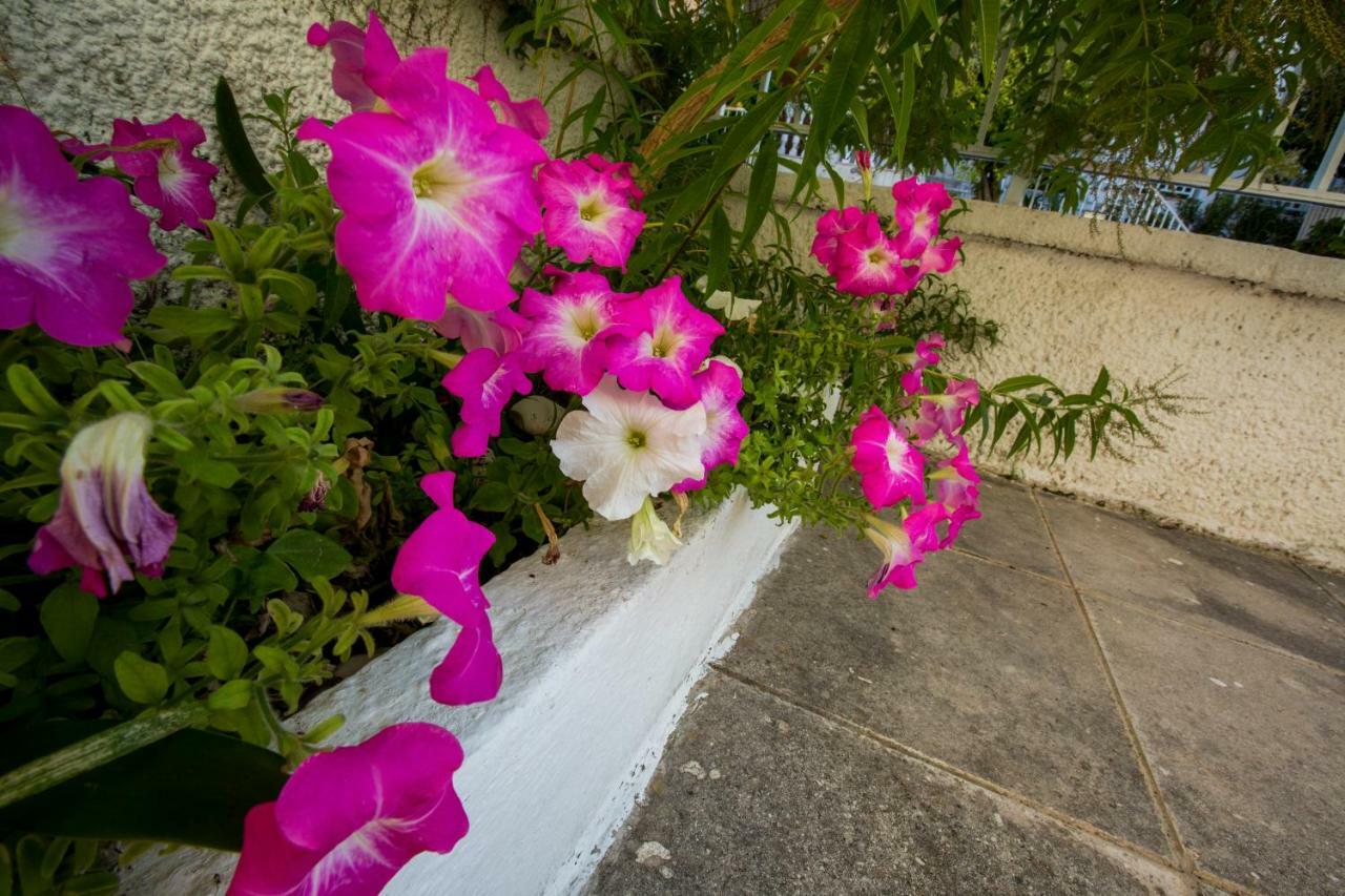 Marietta'S Townhouse Vila Argostoli  Exterior foto