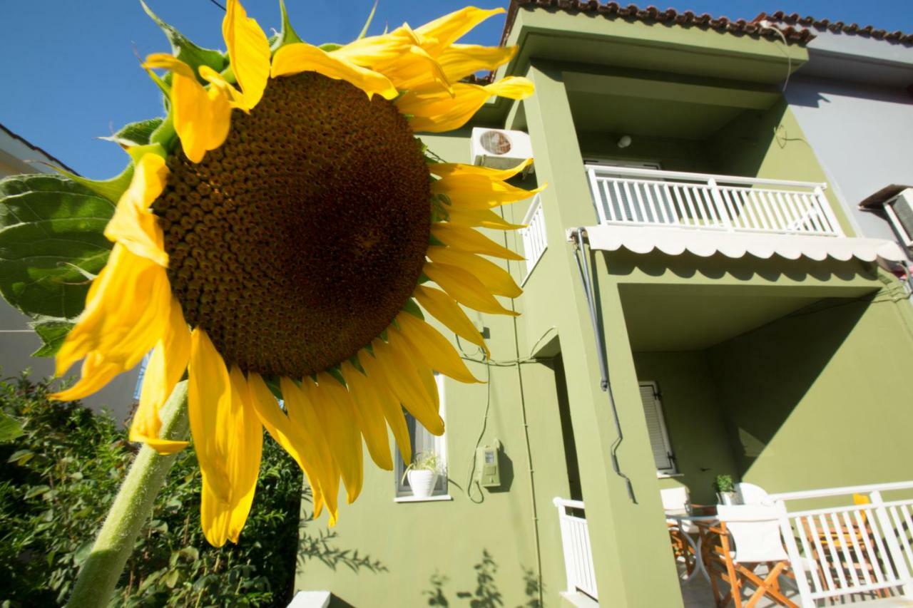 Marietta'S Townhouse Vila Argostoli  Exterior foto